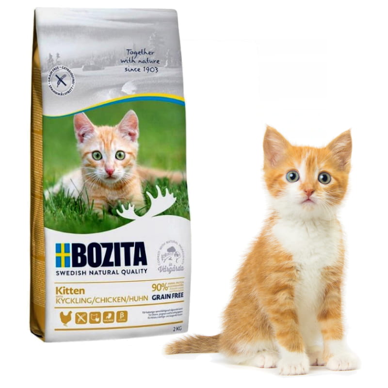 kitten 2kg kot .jpg